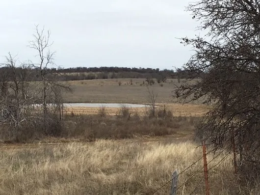 70 Acres in Jacksboro